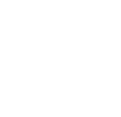 MZ Solutions